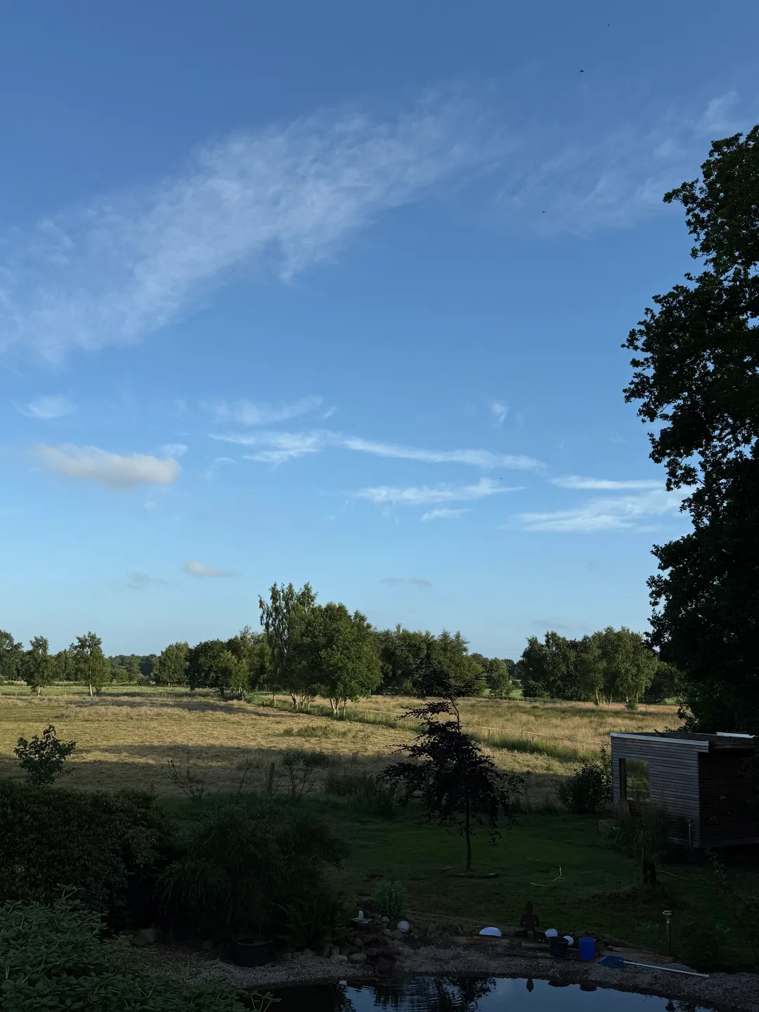 Bild Abends